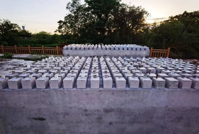 行业共性技术协同研发项目——钢筋混凝土用热轧稀土钢筋取得突破性进展